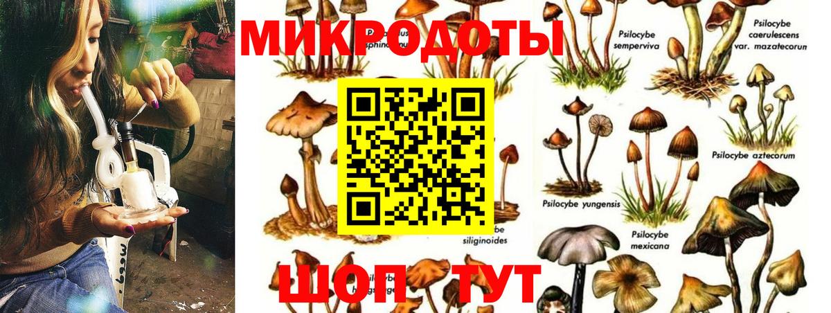 Псилоцибиновые грибы GOLDEN TEACHER Боровичи