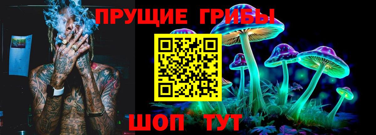 Боровичи  Галлюциногенные грибы мицелий  Вход с VPN 